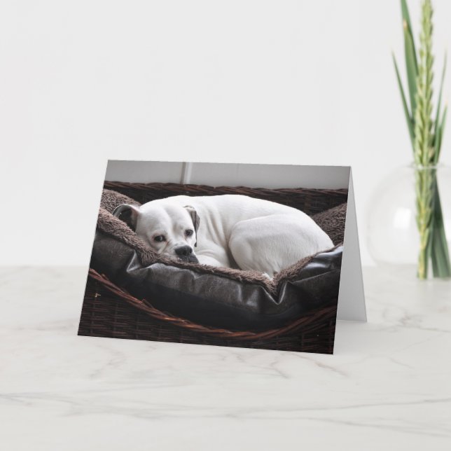 Note Card: Boxer dog Card (Front)