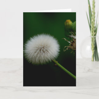 Note Card - Dandelion