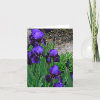 Note Card  "deep-purple Irises" /photog. Card by whatawonderfulworld at Zazzle