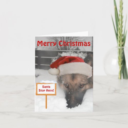 Note Card German Shepherd Santa Stop Here Sign