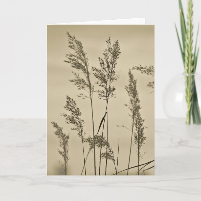 Note Card Grasses (Front)