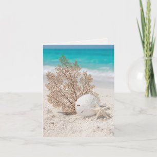 Note Card Sea Fan With Sand Dollar and Starfish