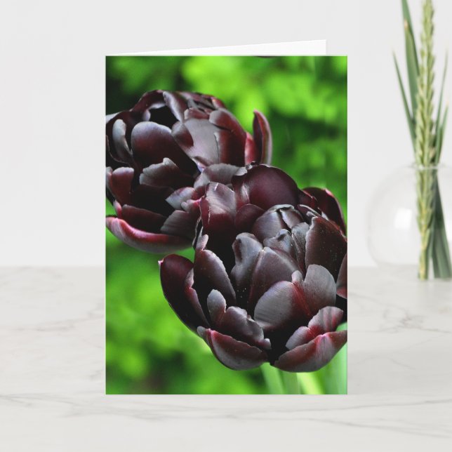 Note Card: Tulips Card (Front)