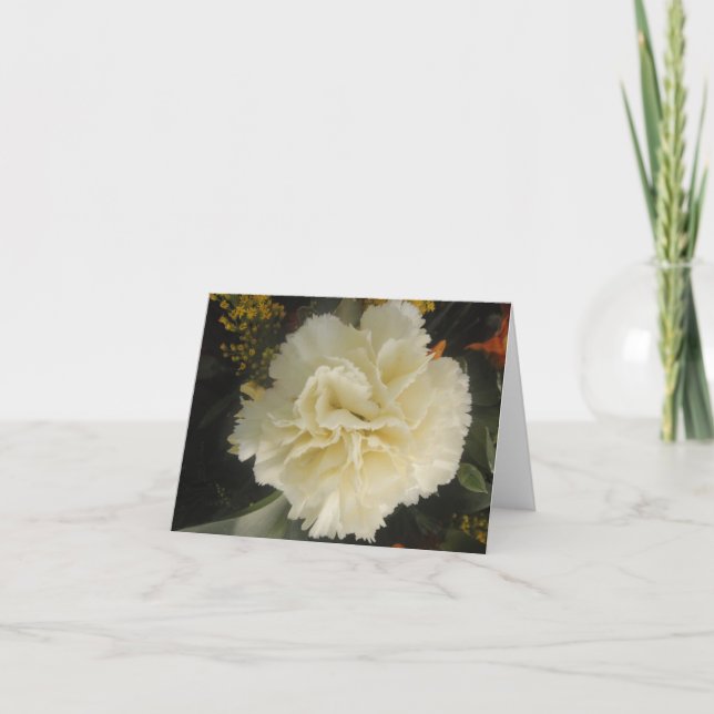 Note Card White Carnation Beauty (Front)