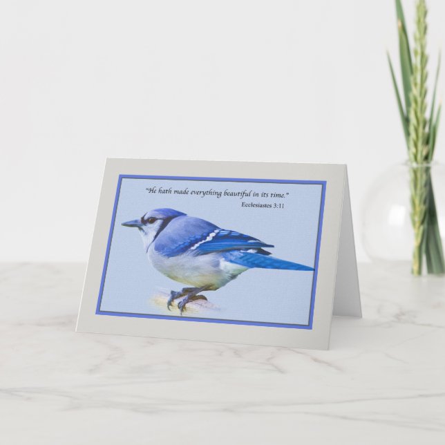Note Card with Blue Jay Bird (Front)