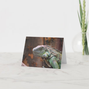 Note Card with colorful Iguana lizard