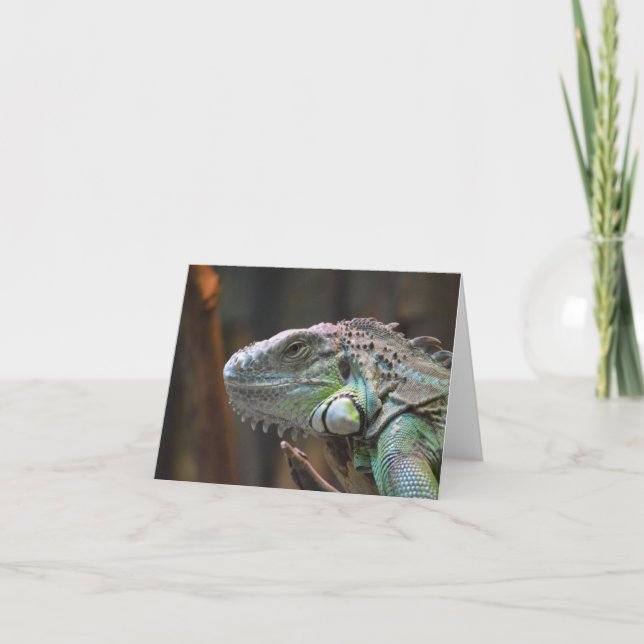 Note Card with head of colourful Iguana lizard (Front)