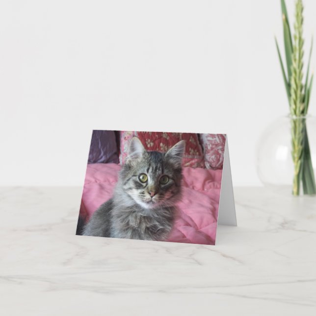Note Card with kitten photo (Front)