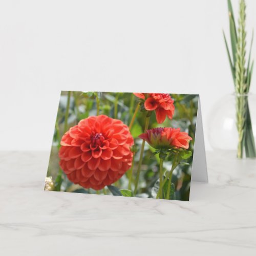 Note card with orange dahlia