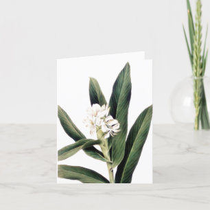 Note card with white flower