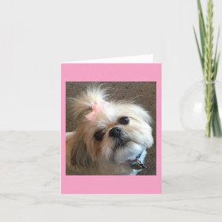 Note Cards / Amazing Grace & Glory Bea