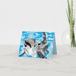 Note Cards : Dolphin at Play