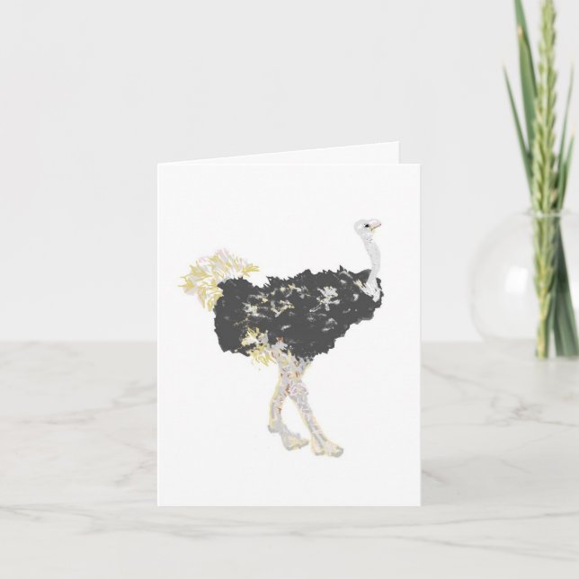 Note Cards : The Africa Ostriches  (Front)