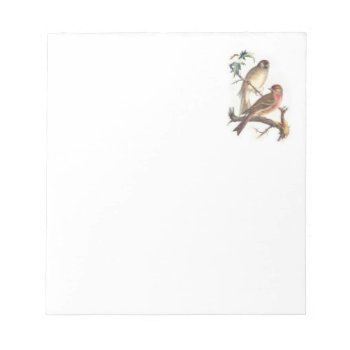 Note Pad With Beautiful Birds by Vintage_Obsession at Zazzle