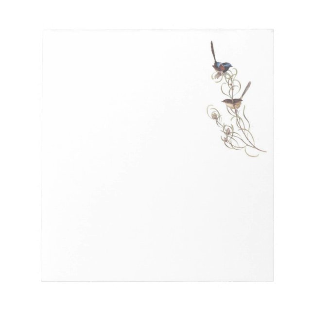 Note Pad with Blue Wrens (Front)