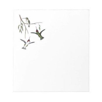 Note Pad With Hummingbirds by Vintage_Obsession at Zazzle