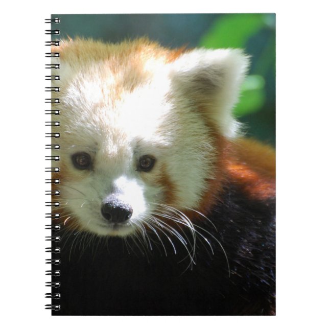 Notebook - Customized (Front)