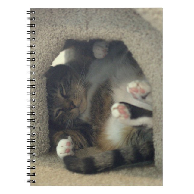 Notebook - Nap Like You're a Cat! (Front)