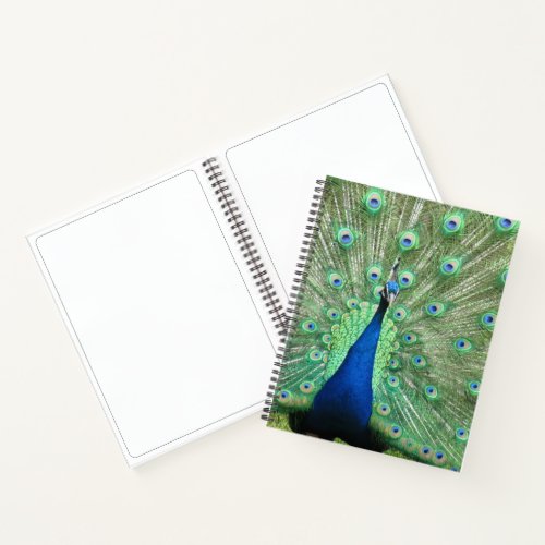 Notebook _ Peacock Portrait