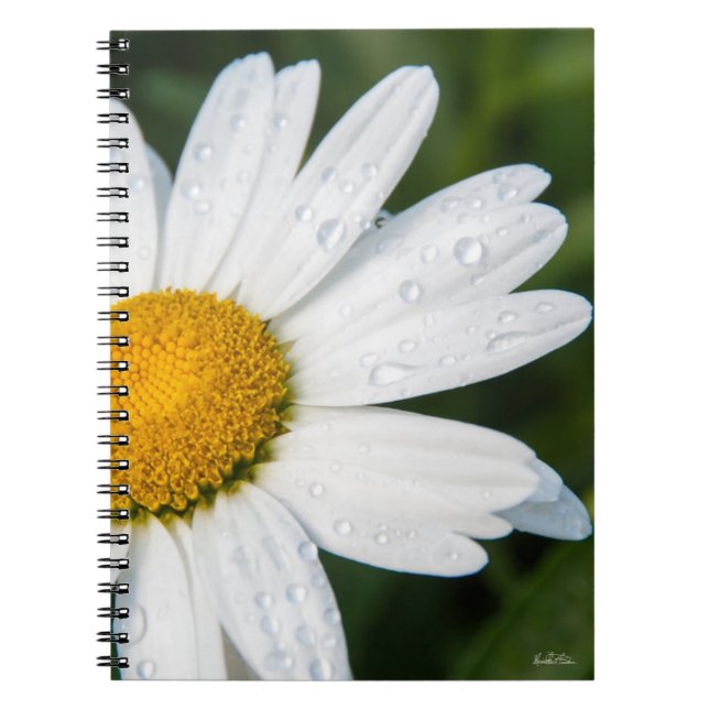 notebook photo daisy (Front)