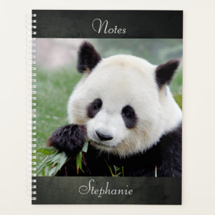 Notebook Photo giant panda , animals 01. notebook
