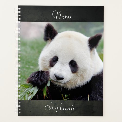 Notebook Photo giant panda  animals 01 notebook