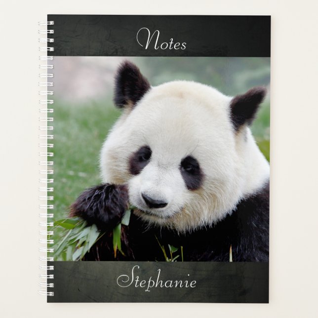 Notebook Photo giant panda , animals 01. notebook (Front)
