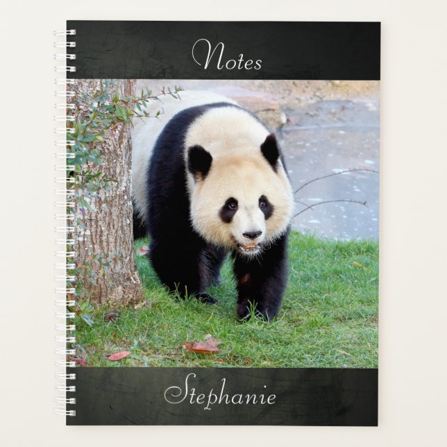 Notebook Photo giant panda , animals 05. notebook (Front)