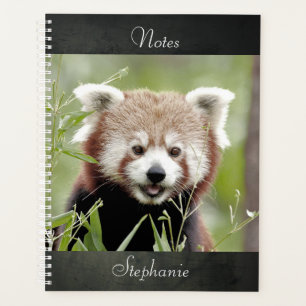 Notebook Photo red panda , animals 01. notebook
