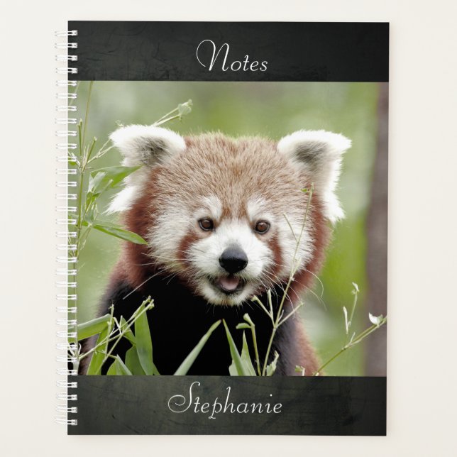 Notebook Photo red panda , animals 01. notebook (Front)