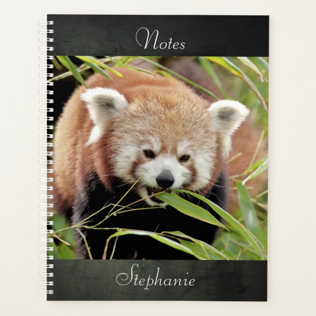 notebook Photo red panda , animals 02. notebook (Front)