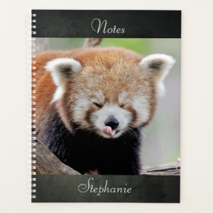 notebook Photo red panda , animals 03. notebook