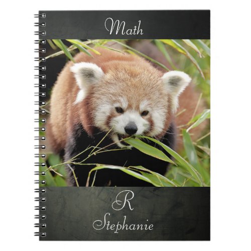 Notebook Photo red panda  animals 0443