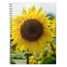 Notebook - Sunflower Isolated
