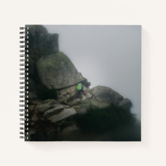 Notebook - The Long Way to Pilchuck.