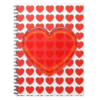 Notebook - Three Dimensional Hearts
