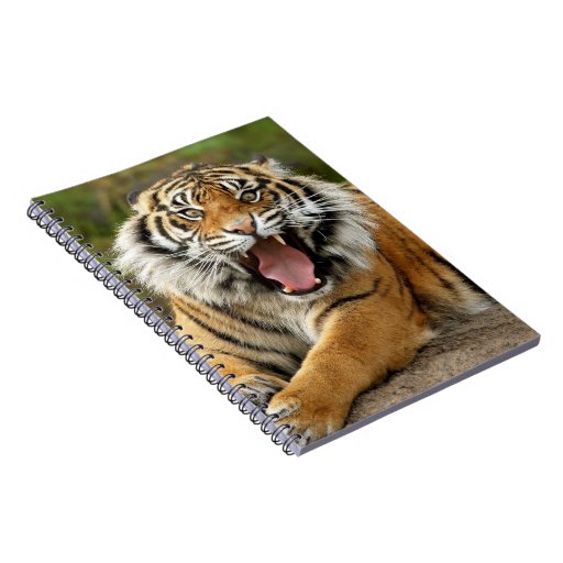 Notebook-Tiger Spiral Notebook | Zazzle