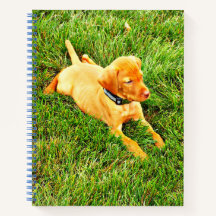 Notebook with a Vizsla Puppy