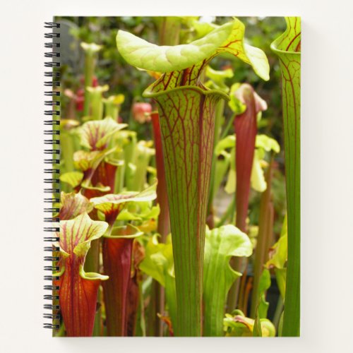 Notebook with Sarracenia flava Photos