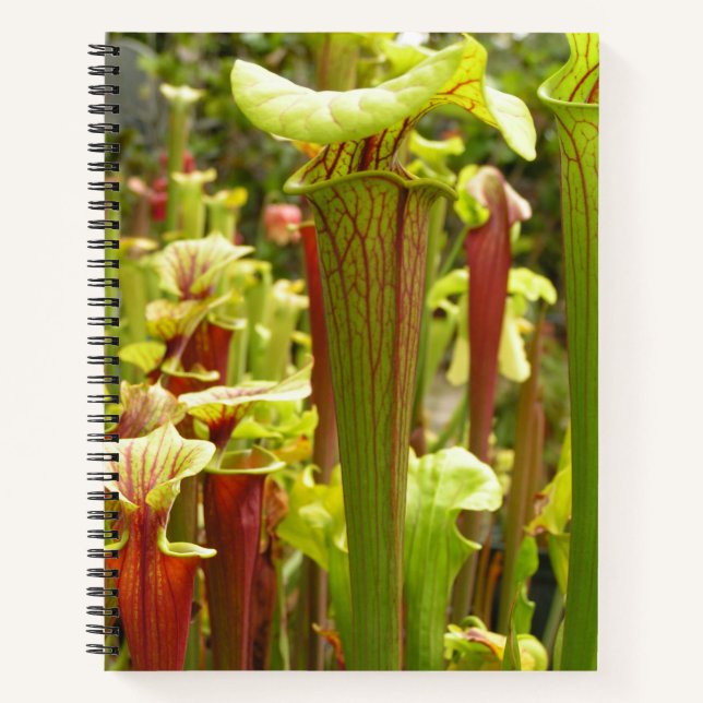 Notebook with Sarracenia flava Photos (Front)