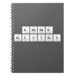 Andrea
 Alloisio
   Notebooks