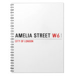 Amelia street  Notebooks