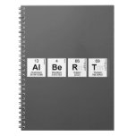 Albert  Notebooks
