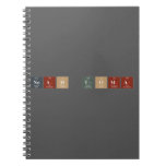 Noah Toma  Notebooks