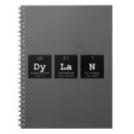 Dylan  Notebooks