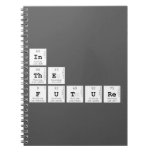 in
 the 
 future  Notebooks