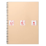Lv G N  Notebooks