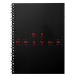 BEN 
 Drowned  Notebooks