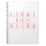Zydrei
 Waj
 Tancinco
   Notebooks