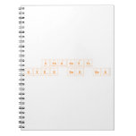 SPAGHETTI
 NYEH HEH HEH  Notebooks